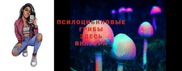 тгк Алзамай