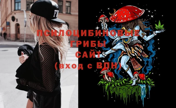 соль ск Алексин