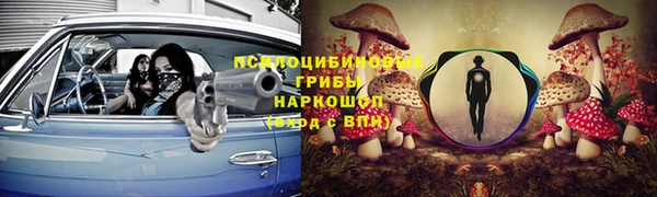 тгк Алзамай
