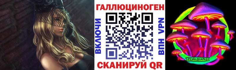 Псилоцибиновые грибы Cubensis  Ревда 